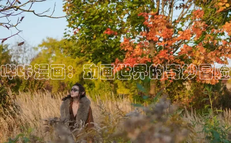 漫漫漫画app官方下载